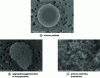 Figure 2 - Micron particles and nanoparticle aggregates/agglomerates of a chromium-iron-nickel alloy