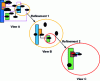 Figure 17 - Principle of refinement, allowing a partial multi-scale view