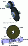Figure 4 - Spur gear and worm wheel