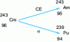 Figure 8 - Competing radioactive decays of curium 243: electron capture (EC) and alpha emission (α)