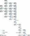 Figure 14 - Decay chain (4n + 1) (neptunium family)