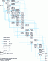 Figure 15 - Example of an isotopic filiation chain for the heavy nuclei of a nuclear fuel subjected to neutron irradiation (part 1/3)