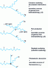 Figure 2 - Photon-atom interactions (according to [27])