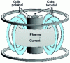 Figure 4 - Tokamak schematic diagram