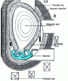 Figure 7 - Divertor schematic diagram