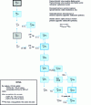 Figure 4 - Uranium chain