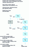 Figure 5 - Thorium chain