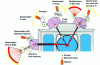 Figure 10 - Setting up basic research experiments on the Siloé canals