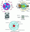 Figure 11 - Horizontal cross-section of RHF, Orphée and HFBR reactors