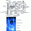 Figure 13 - Isabelle loop: schematic diagram and installation in the Osiris reactor