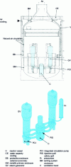 Figure 7 - AP 600 – Schematic section