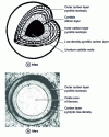 Figure 5 - Particles