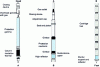 Figure 11 - Fuel assembly