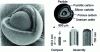 Figure 6 - GT-MHR: the fuel element