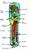 Figure 6 - Steam generator (originally fitted to 900 units)