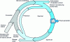 Figure 1 - Diagram of nuclear fuel cycle operations