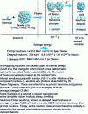 Figure 1 - Brief description of neutron fission and the various types of neutron and photon radiation involved.