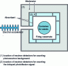 Figure 15 - Horizontal section of NS2C cell