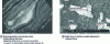 Figure 1 - Differences in the chemical composition of glass, source CEA