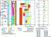 Figure 9 - Distribution of permeability values and diffusion coefficients in the formation