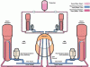 Figure 3 - Partial
diagram of the CANDU-6 PHTS showing the two loops configuration (CANTEACH)