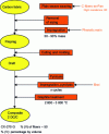 Figure 6 - Toyo Tanso process for manufacturing the 2D C/C composite "CX 270-G" from research project JAERI-Research 2002-026