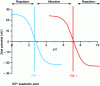 Figure 4 - Representation of the interactions of two species as a function of their surface potential