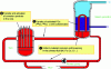 Figure 7 - Origin of radioactive contamination in the primary circuit