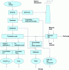 Figure 1 - General diagram of nuclear fuel treatment-recycling
operations using the PUREX process