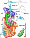 Figure 3 - Overview of rotary dissolvers at La Hague
plants and their main components