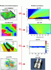 Figure 22 - Historical overview of the numerical approach for coupling micrometeorological (mi) and acoustic (ai) models, carried out at UMRAE in partnership with ECN (m1, m3), CNRM of Météo-France (m2), CEREA (m4) and LAUM (a3) [125].