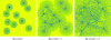 Figure 16 - Illustration of the scattering phenomenon with several sources (synchronous, coherent, punctual, monochromatic, stationary, monopolar and immobile) in an urban environment (reflective mineral boundaries, in 2D, in a non-dissipative medium and under homogeneous conditions) [149]