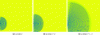 Figure 2 - Illustration of the propagation (in 2D, vertical cross-section in a non-dissipative medium and under homogeneous conditions) of wave fronts from a monopole monochromatic, immobile point source in the presence of a reflective ground [149].