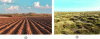 Figure 4 - Examples of surface roughness encountered in outdoor environments: (a) artificial or (b) natural roughness [149].