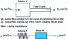 Figure 5 - Volume and tube system and mass and spring system