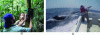 Figure 1 - Field collection of vocalizations by automatic recorders: a) installation of an autonomous programmable recorder in a tropical forest, b) installation of an acoustic beacon on the back of a humpback whale (Photo credits: 1a Thierry Aubin ; 1b Isabelle Charrier)