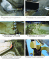 Figure 4 - Examples of the application of similarities in river hydraulics (Credit: CNR-CACOH)