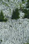 Figure 11 - Differential dissolution of grooved limestone forming a lapiaz (Aravis Massif, Haute Savoie)