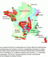 Figure 21 - Simplified geological map of mainland France (source BRGM) based on the millionth scale map of the country (6th revised edition) and indication of the country's main geological features.