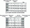 Figure 4 - Masonry infill