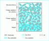 Figure 1 - Different states of water in the soil