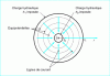 Figure 12 - Cylindrical radial flow: notations and flow network