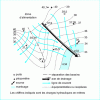 Figure 31 - Piezometric surface and interpretation