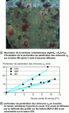 Figure 8 - Service life indicator for rebar corrosion: chloride penetration kinetics