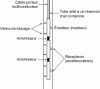 Figure 5 - Schematic diagram of a microseismic probe