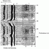 Figure 6 - Example of full-signal sonic recording, from 