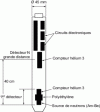 Figure 8 - Schematic diagram of a neutron-neutron probe