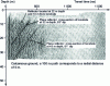 Figure 15 - Radar cross-section in a limestone massif
at a depth of 35 m 