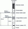 Figure 7 - Schematic diagram of a γ - γ probe