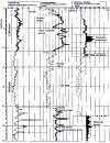 Figure 9 - Nuclear logs and their interpretation
(document from Laboratoire Régional de l'Ouest Parisien)